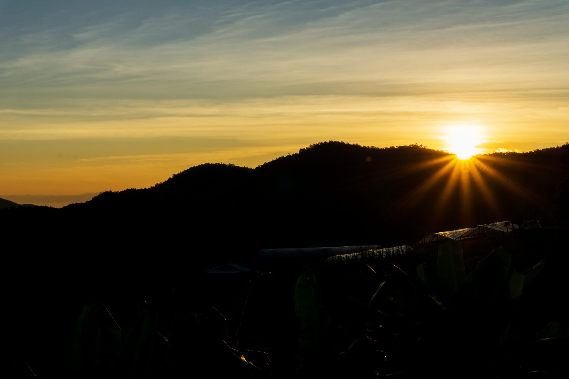 Sunrise Jungle Trekking